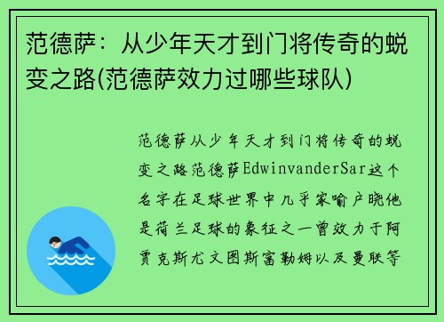 范德萨：从少年天才到门将传奇的蜕变之路(范德萨效力过哪些球队)